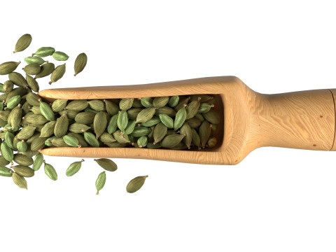 Dried green cardamom scoop 3D 모델