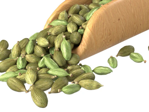 Dried green cardamom scoop 3D Model