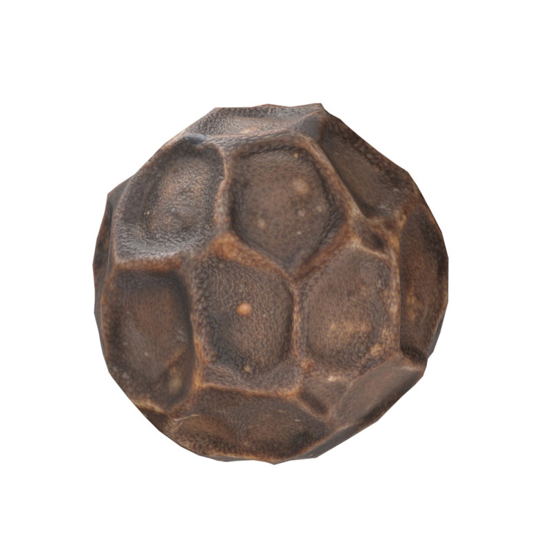 Dried peppercorn Modelo 3D .c4d .max .obj .3ds .fbx .stl .blend