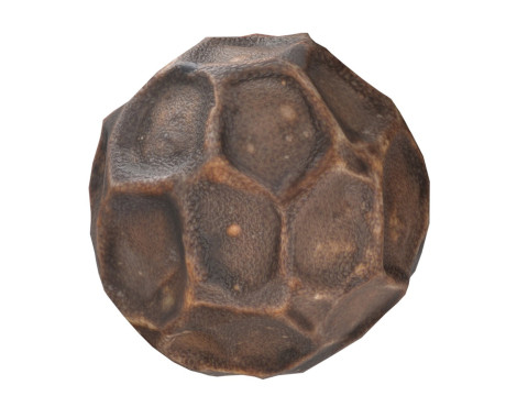 Dried peppercorn Model 3D