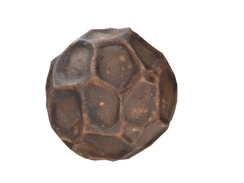 Dried peppercorn Modelo 3D