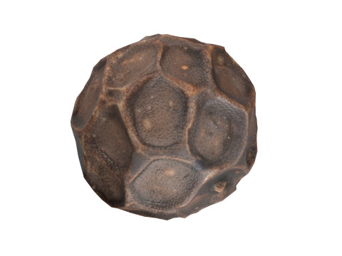 Dried peppercorn Modelo 3D