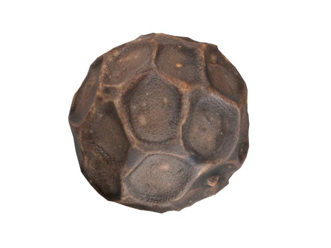 Dried peppercorn 3D Model