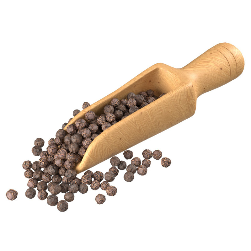 Dried peppercorn balck scoop Modelo 3D .c4d .max .obj .3ds .fbx .stl .blend