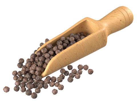 Dried peppercorn balck scoop Model 3D