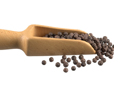 Dried peppercorn balck scoop Modelo 3D
