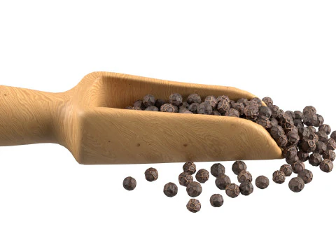 Dried peppercorn balck scoop 3D Model