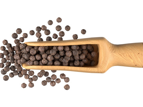 Dried peppercorn balck scoop Modelo 3D