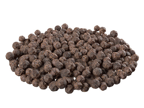 Dry peppercorn black bowl Modello 3D