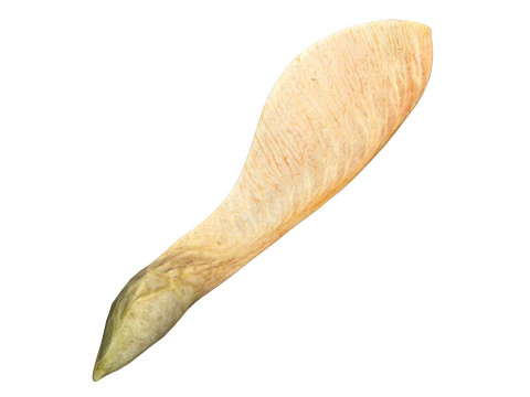 Dry maple seed v2 3D Model