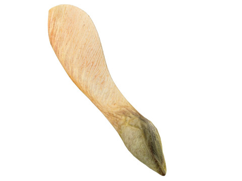 Dry maple seed v2 3D Модель