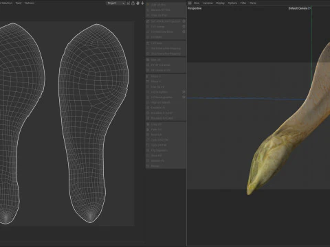 Dry maple seed v2 3D Model