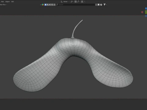 Semilla de arce verde Modelo 3D