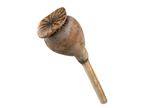 Dry Poppy Seed 3D Model