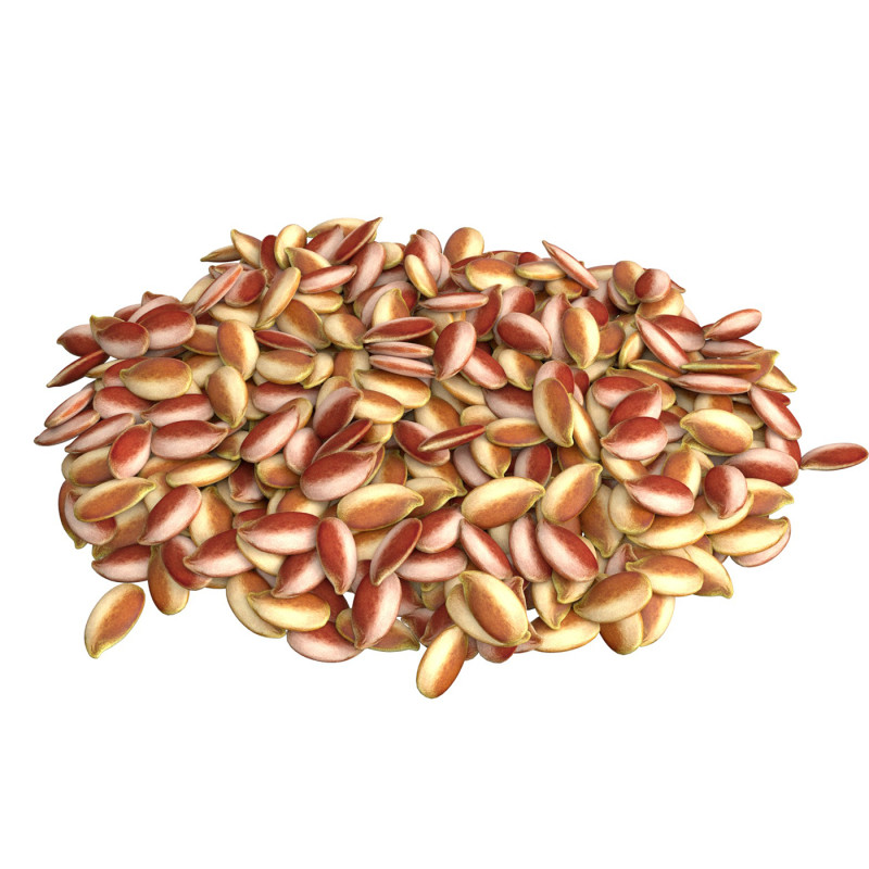 Flax Seed Pile 3D Model .c4d .max .obj .3ds .fbx .stl .blend