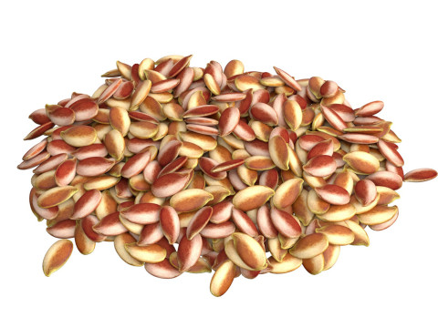 Flax Seed Pile Modèle 3D
