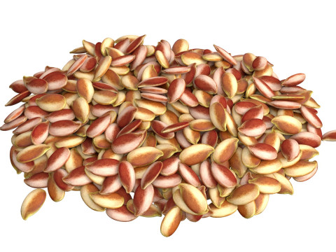 Flax Seed Pile 3D Model
