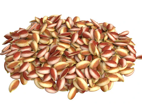 Flax Seed Pile 3D Model