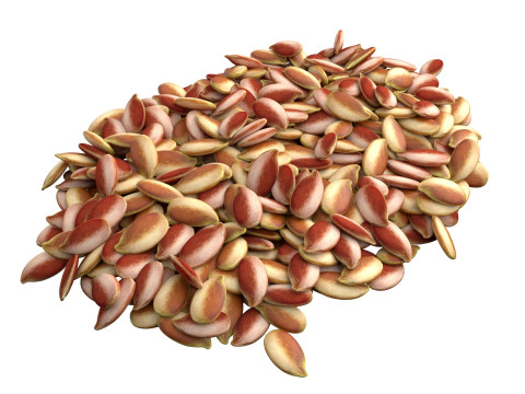 Flax Seed Pile 3D Model