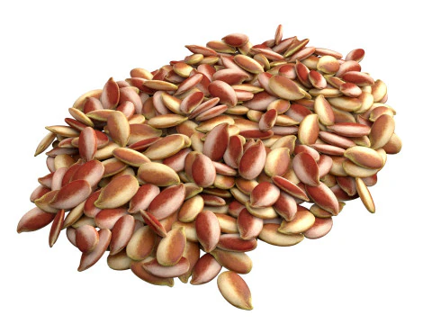 Flax Seed Pile 3D Model