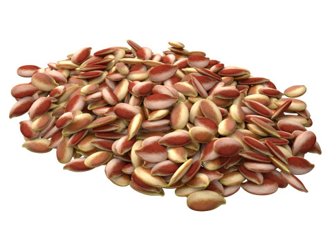 Flax Seed Pile 3D Model