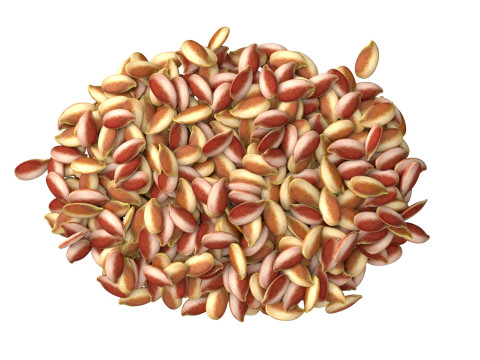 Flax Seed Pile 3D Model