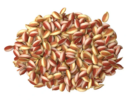 Flax Seed Pile 3D Model
