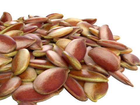 Flax Seed Pile 3D Model