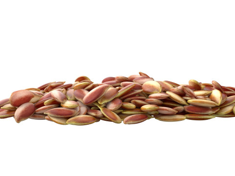 Flax Seed Pile 3D Model