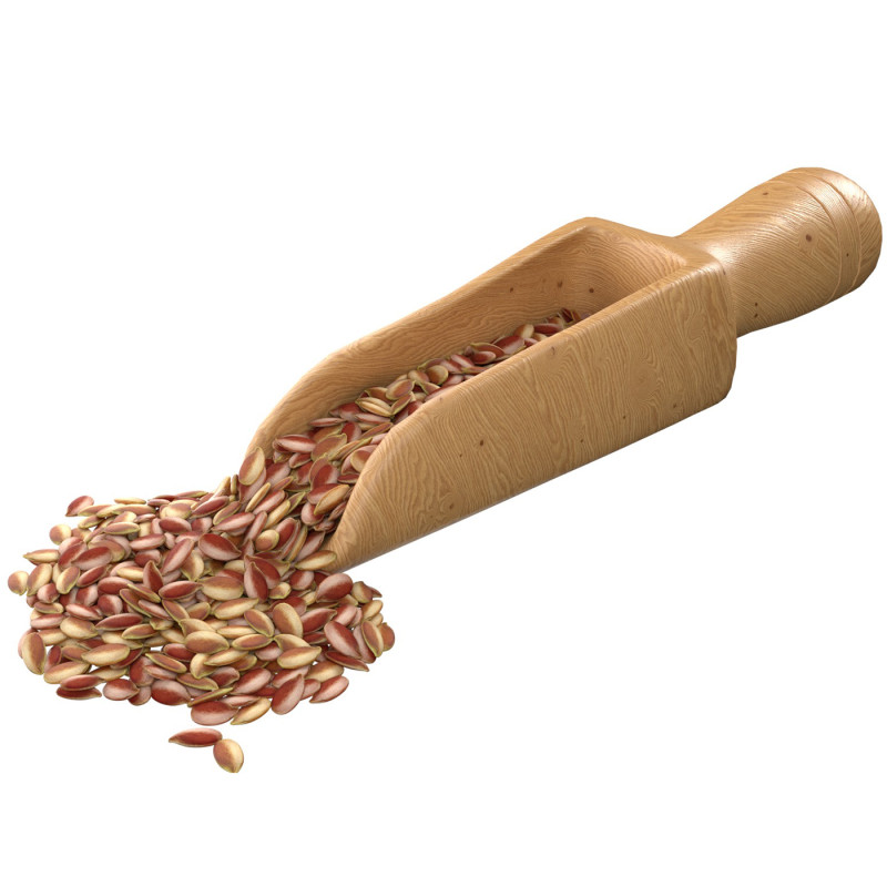 Flax Seed Scoop 3D Model .c4d .max .obj .3ds .fbx .stl .blend