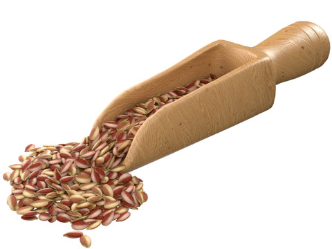 Flax Seed Scoop Modèle 3D