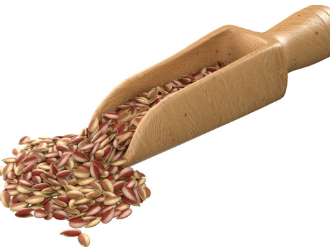 Flax Seed Scoop 3D Model