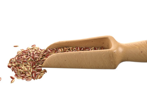 Flax Seed Scoop 3D Model