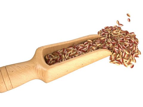Flax Seed Scoop 3D Model