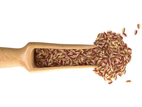 Flax Seed Scoop 3D Model