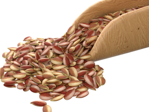 Flax Seed Scoop 3D Model
