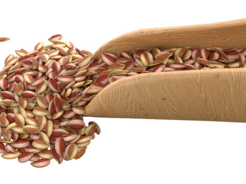 Flax Seed Scoop 3D Model