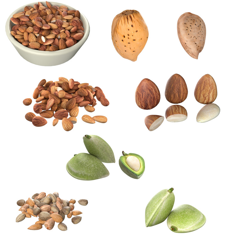 Almonds Collection 3D Model .c4d .max .obj .3ds .fbx .stl .blend