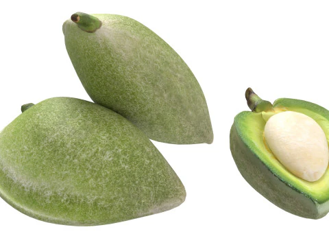 Almonds Collection 3D Model