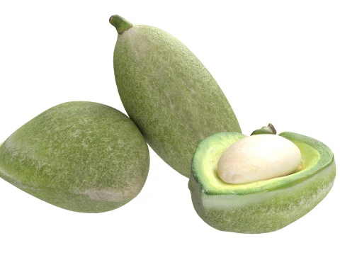 Almonds Collection 3D Model