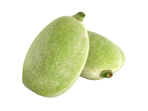 Almonds Collection 3D Model
