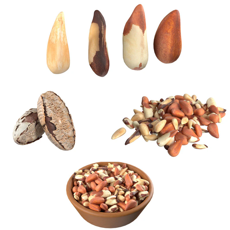 Brazilian nuts collection 3D Model .c4d .max .obj .3ds .fbx .stl .blend