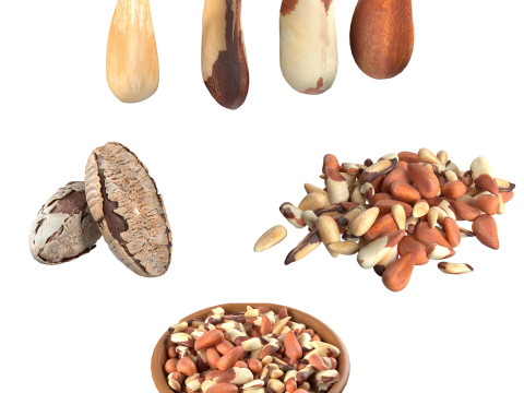 Brazilian nuts collection Modelo 3D