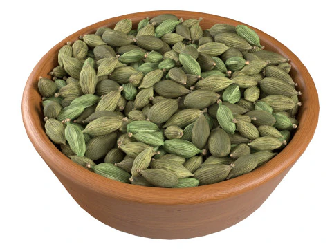 Bean and Seeds collection v1 3D Model