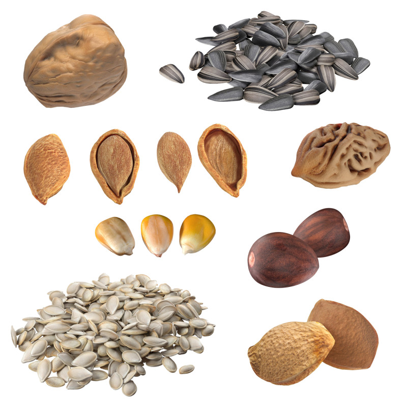 Seed Collection v2 Modèle 3D .c4d .max .obj .3ds .fbx .stl .blend