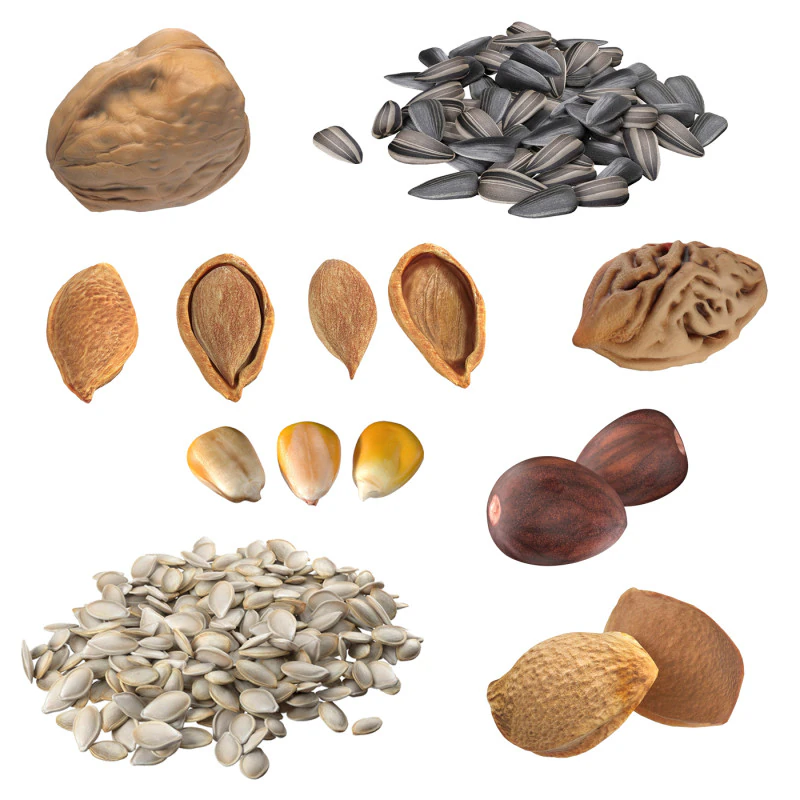 Coleta de Sementes v2 Modelo 3D .c4d .max .obj .3ds .fbx .stl .blend 