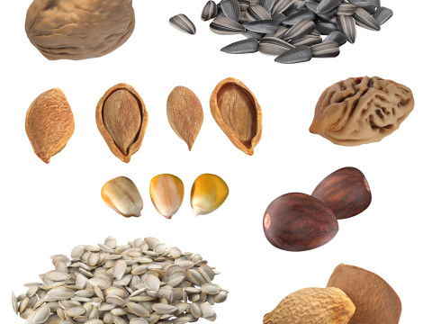 Seed Collection v2 Modelo 3D