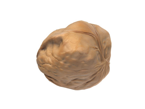 Seed Collection v2 Modèle 3D