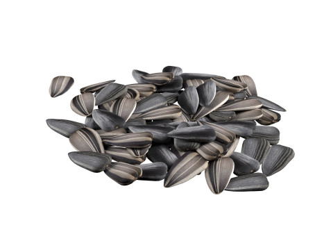 Seed Collection v2 Modèle 3D