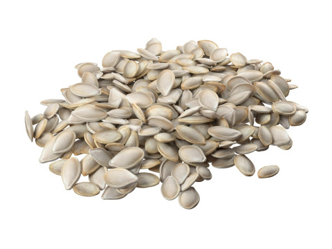 Seed Collection v2 Modèle 3D